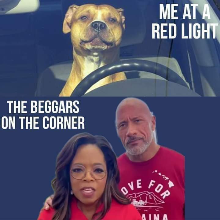 LILY ULTRA MAGA MAGA WARD tweet media