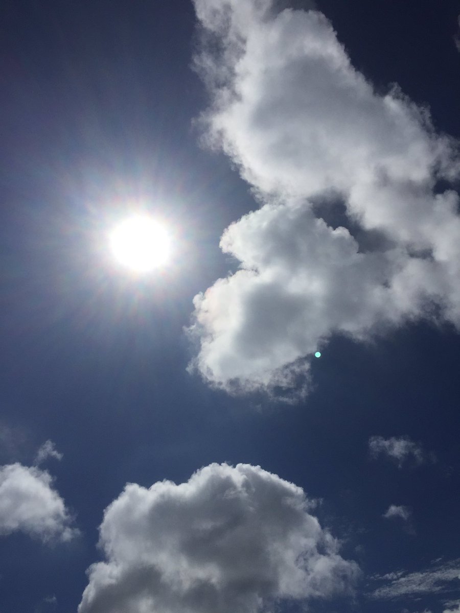 tsutsutsukkk's tweet photo. 太陽が戻ってきた https://t.co/SRPPCDBkOs