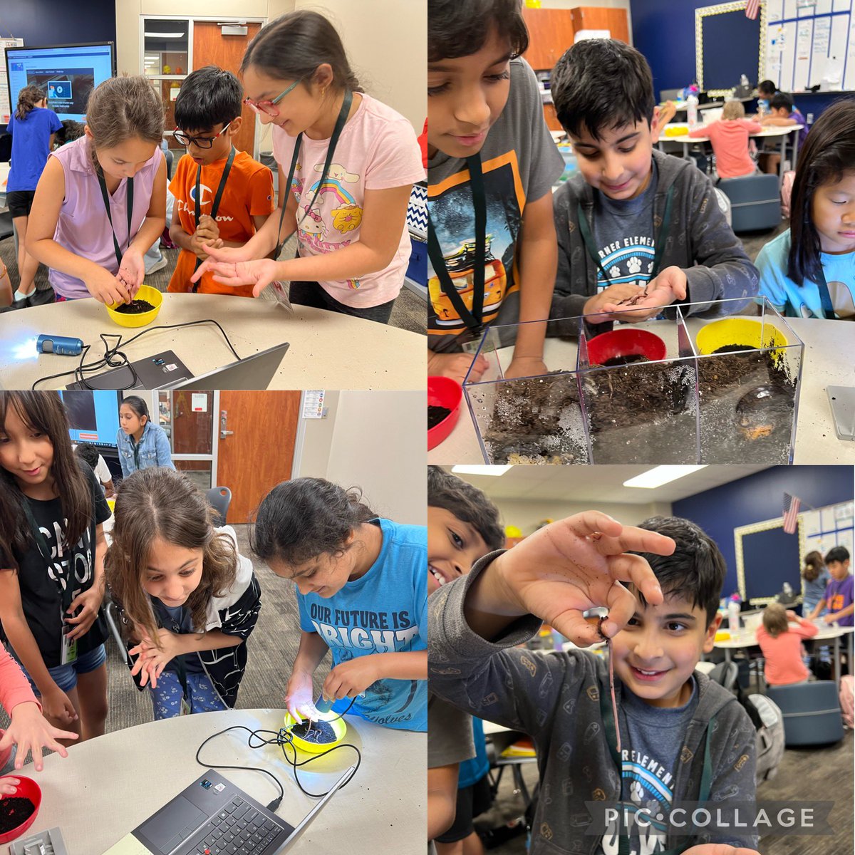 Mrs.Bone's Class tweet media