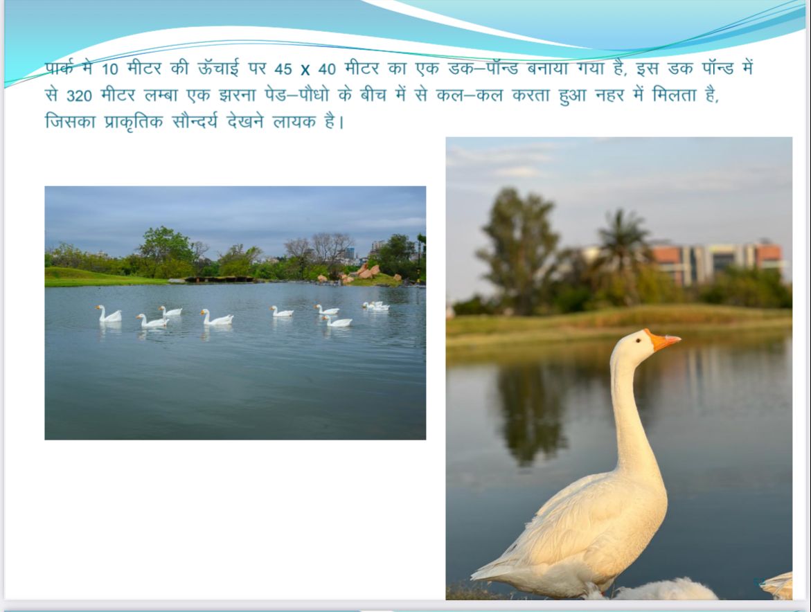 Amita99466353's tweet photo. @CorpKota @CollectorKota @ashokgehlot51 Riverfront рдФрд░ City Park рдХреЗ рд▓реЛрдХрд╛рд░реНрдкрдг рдХреЗ рджреМрд░рд╛рди рдпрд╛рдж рд░рдЦреЗ рдХреА рдХреЛрдЯрд╛ рдХреА рд╕рдбрд╝рдХреЛ рдкрд░ рдЬреА рд░рд╣реЗ рднрд╛рд░рддреАрдп рд╢реНрд╡рд╛рди рдХреЛ рдХрд┐рд╕реА рднреА рддрд░рд╣ рдХреА рдареЗрд╕ рдирд╛ рдкрд╣реБрдБрдЪрд╛рдИ рдЬрд╛рдпреЗ рдХреНрдпреЛрдВрдХрд┐ рд╣рдореЗ рдХреЛрдЯрд╛ рдореЗрдВ рдзрд╛рддреБ рдФрд░ рдкрддреНрдерд░ рдХреЗ рдЬрд╛рдирд╡рд░реЛрдВ рд╕реЗ рдЬрд╝реНрдпрд╛рджрд╛ рдЬреАрд╡рд┐рдд рдЬрд╛рдирд╡рд░реЛ рдФрд░ рдХрд╝рд╛рдиреВрди рдХрд╛ рд╕рдореНрдорд╛рди рдХрд░рдирд╛ рд╣реИред@scobserver https://t.co/plNwqVjpq2