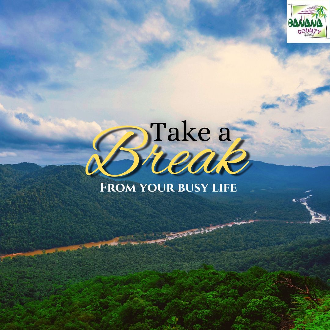 CountyPvt's tweet photo. "Take a break from your busy life and embrace the soothing embrace of nature at Banana County Resort. Reconnect with the world outside the hustle and bustle, where serenity awaits you. 
For booking:
Call: 9148858523 &amp; 9448007751
Website: https://t.co/Yqtmsmzo15
#takeabreak  #busy https://t.co/AwJHmhWr9b