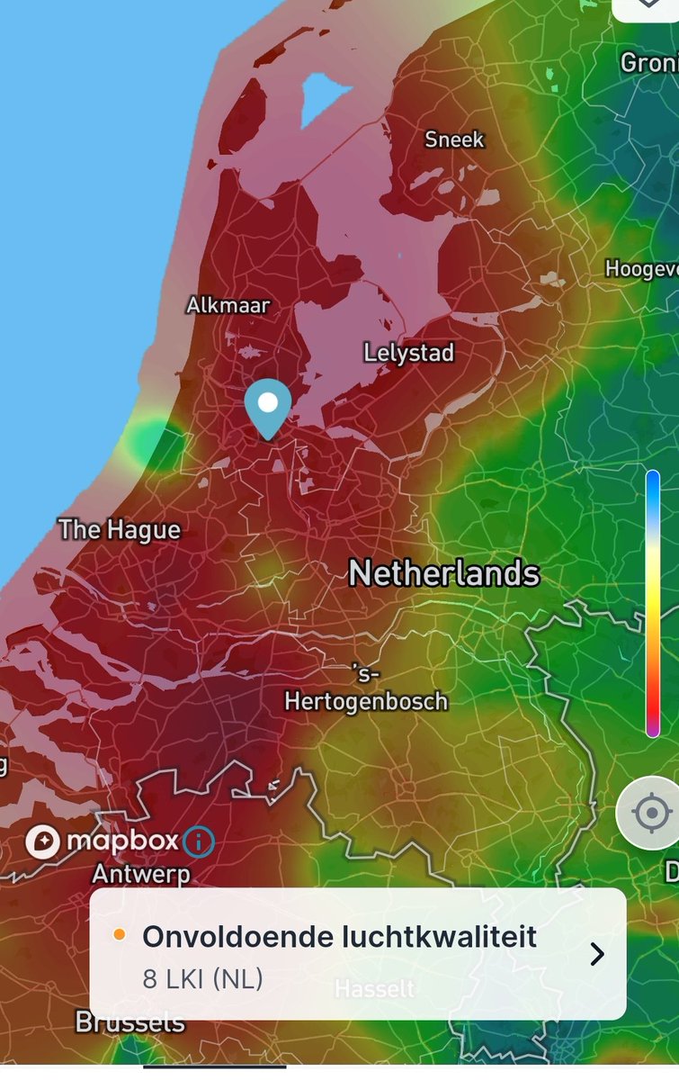 Iris Poels tweet media