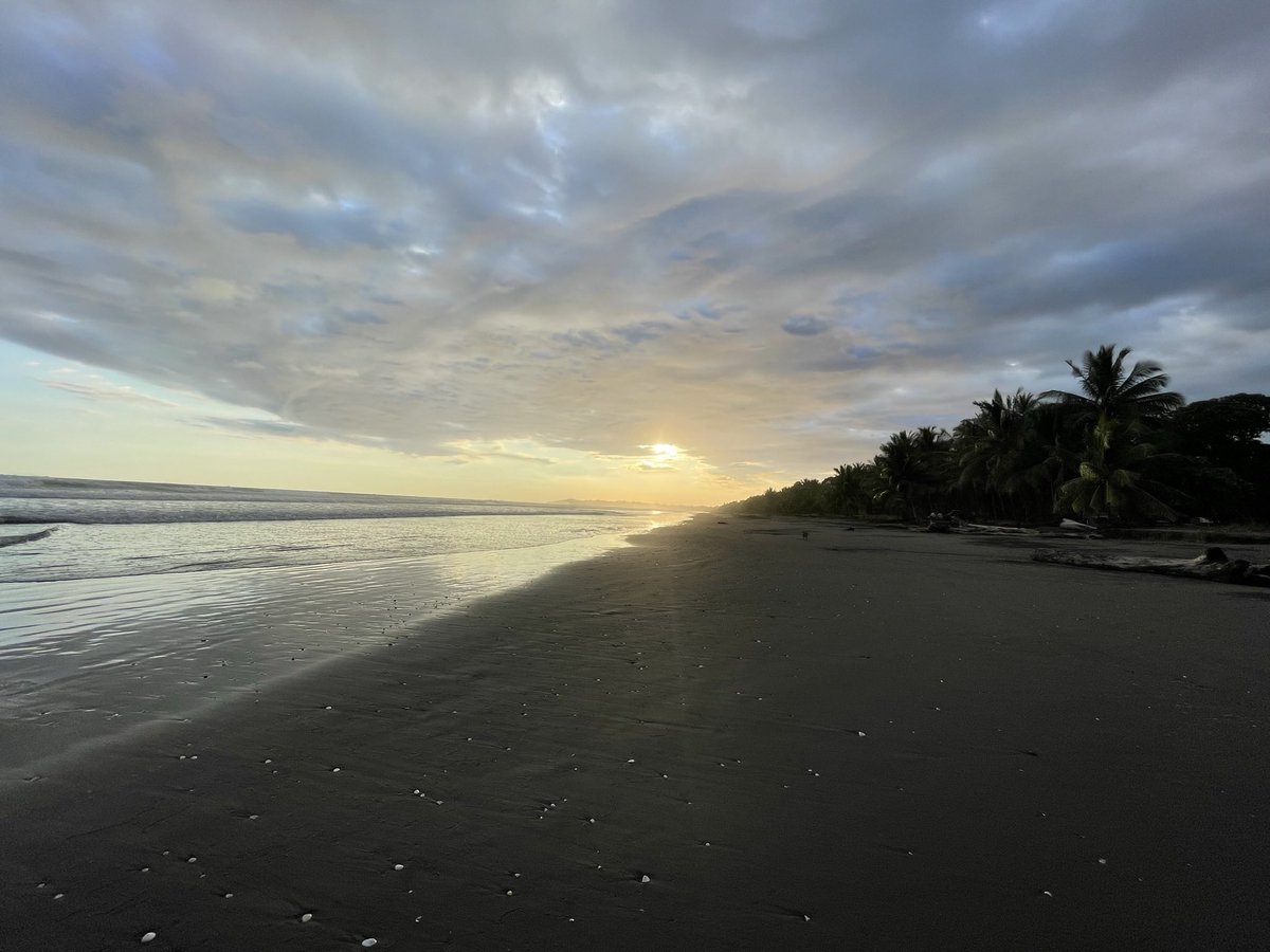 Ponchocr's tweet image. Infravalorada