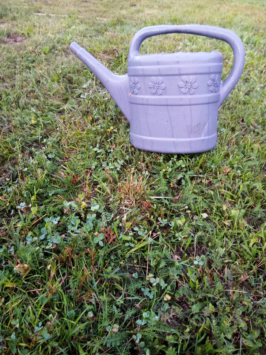 Morgenstundes Rasengrün mit Kanne.