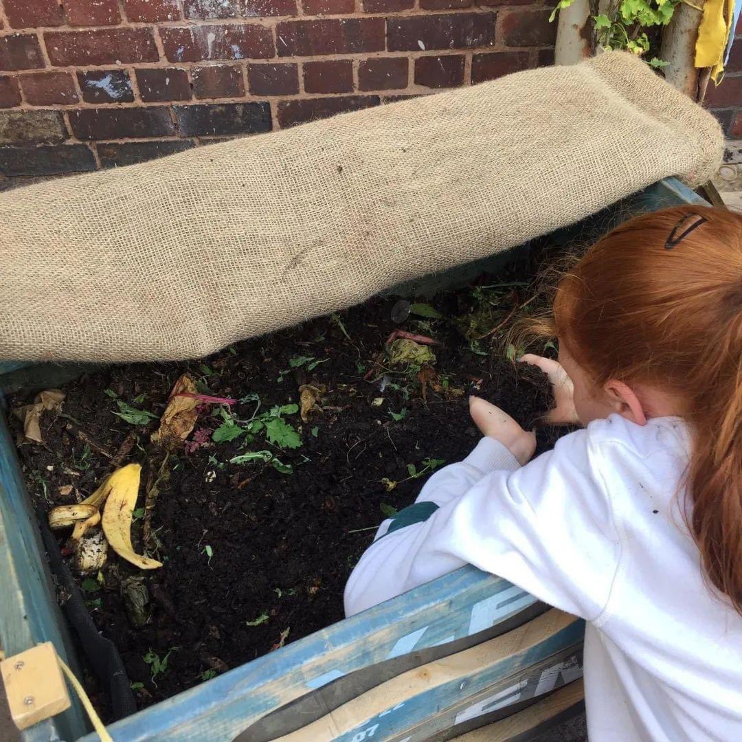 Amy @ The Parakeet tweet media