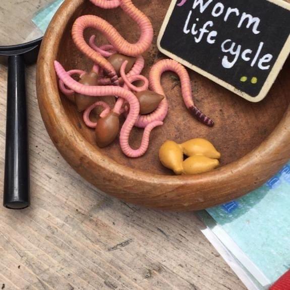 Amy @ The Parakeet tweet media