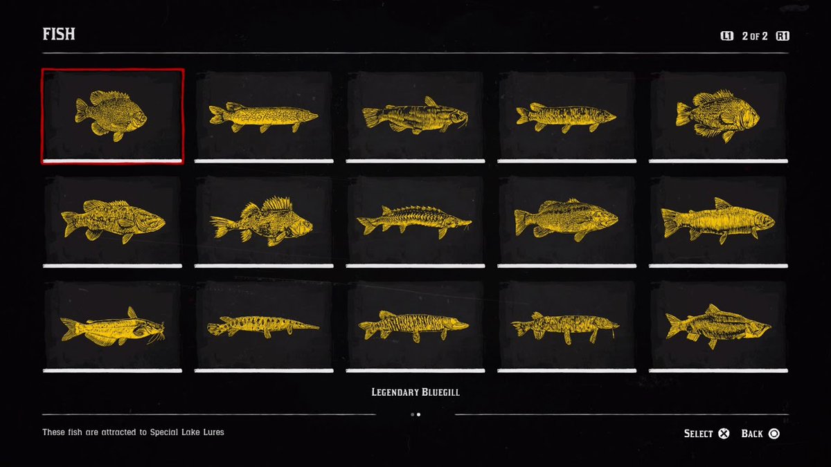 LordGedi's tweet photo. #RedDeadRedemption2 All 30 Fish Including Legendary Fish 100% Completed -  Fish Compendium Link:- https://t.co/q79vuFvSFf #rdr2 #gaming #RockstarGames https://t.co/IV621xtt2G