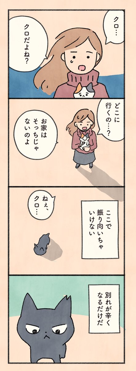 もしもなんて来ないと思ってた猫」第166話   マメを守ることが、かつて自分を助けてくれた凛への恩返しになると考えてきたクロ。その役目を果たし、姿を消すことを決めたクロは…?      毎日20時、1日1ページずつ更新。     #もしも猫