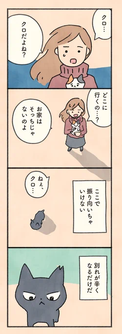 もしもなんて来ないと思ってた猫」第166話 マメを守ることが、かつて自分を助けてくれた凛への恩返しになると考えてきたクロ。その役目を果たし、姿を消すことを決めたクロは…?    毎日20時、1日1ページずつ更新。     #もしも猫 