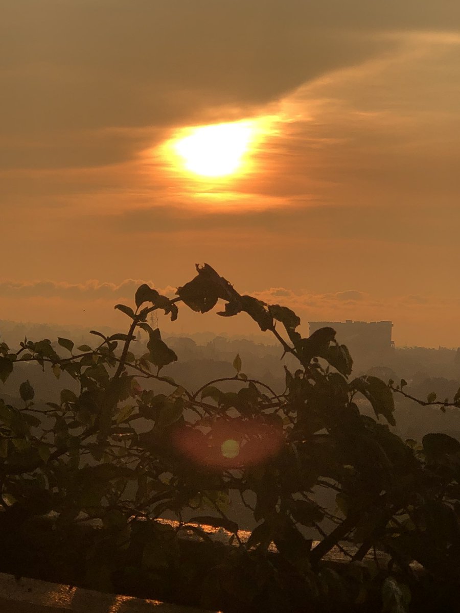 sunset with you, <a href="/zxcveuri/">riel</a>