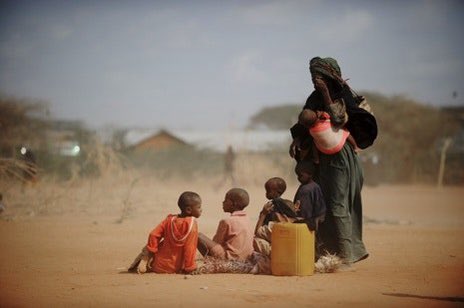 Dhambaalka's tweet photo. This is a crime. Allowing the environment destruction and desertification of the wooded area of #Somalia by authorizing the sale of charcoal obtained by burning trees is a crime. Why the @UN destroys elephant tusks but allows charcoal commerce that brings famine and deaths? https://t.co/ON0T9LfPbS