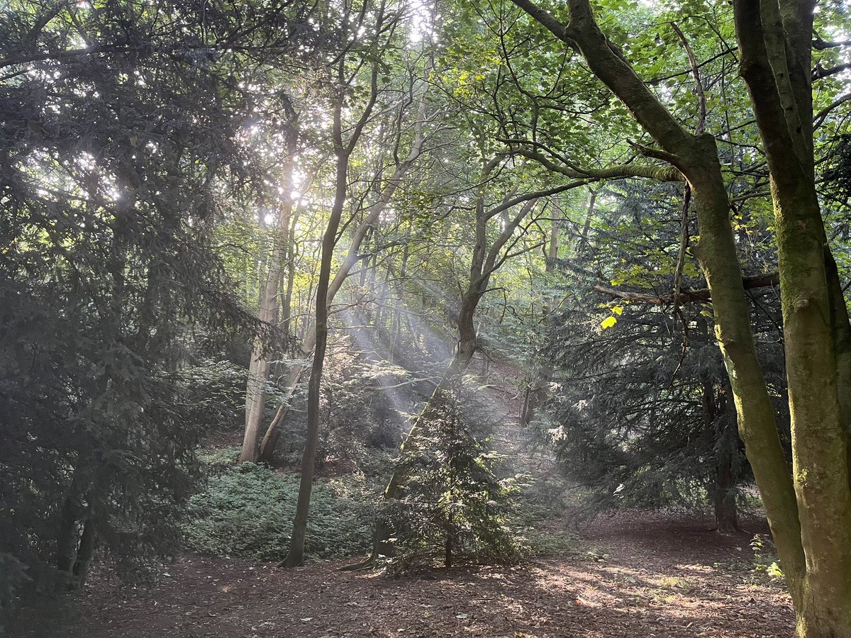 Lost my Mum in the early hours of Tuesday morning. Today’s run was for her. Thank you <a href="/parkrunUK/">parkrun UK</a> for a supported place to run this morning, in a beautiful location, giving me time with my thoughts <a href="/runningpunks/">Running Punks</a>