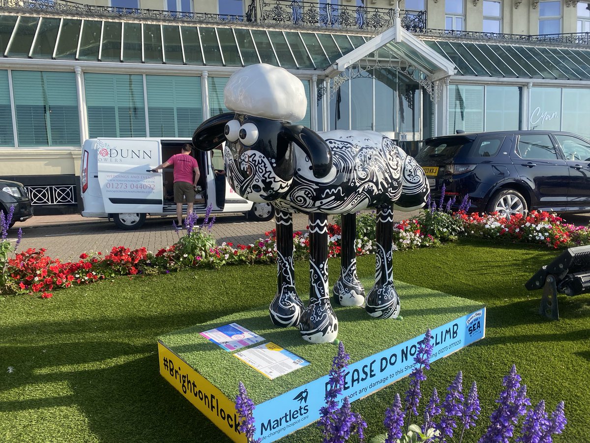 BBCSussex's tweet photo. How many sheep can you find in 30 minutes? That was the challenge set for @KrysOBrien1 🐑 She found 4 - between The Grand Hotel and Bandstand on Brighton’s seafront 😁🐑 https://t.co/kERQND3qeJ