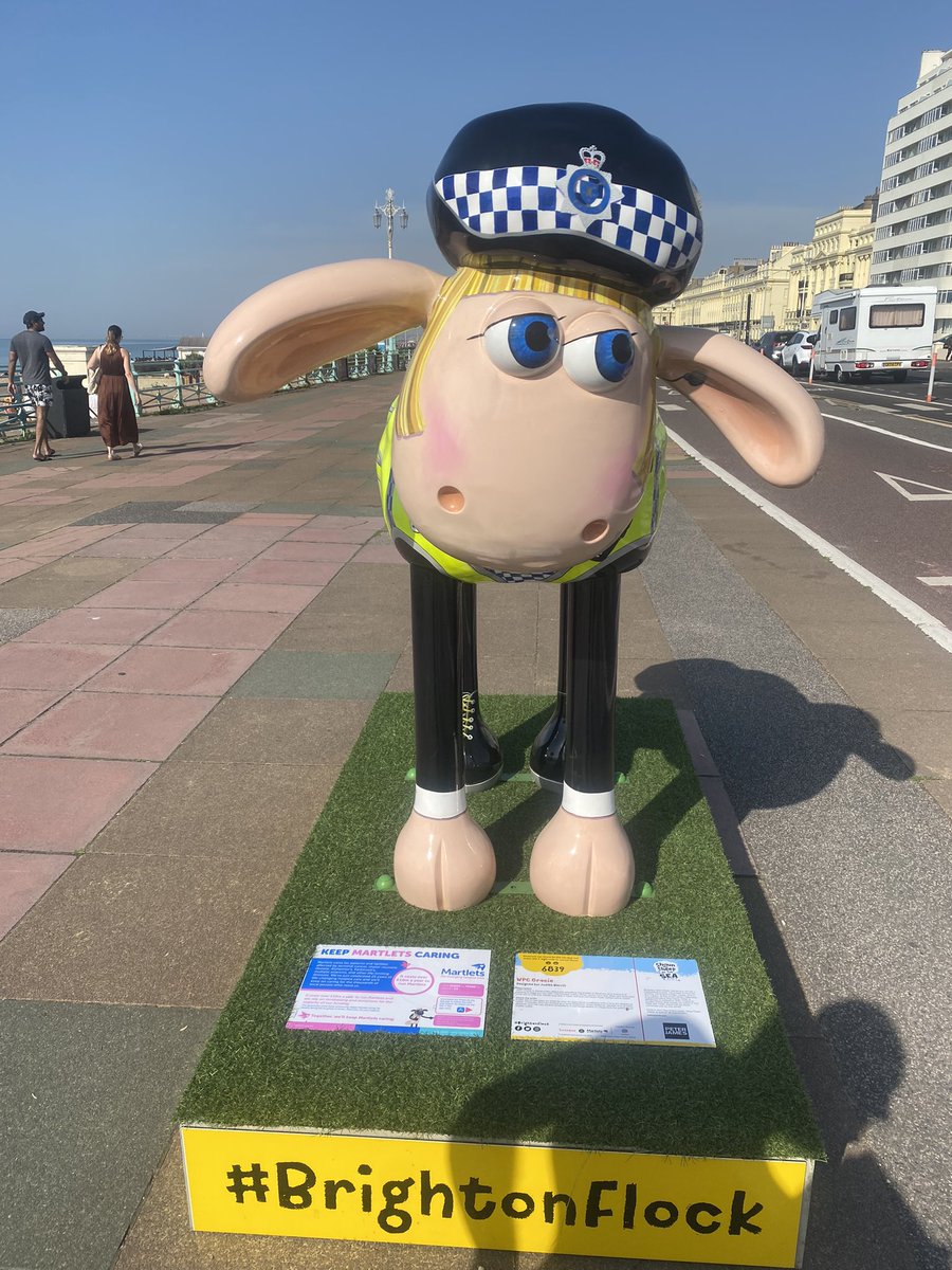 BBCSussex's tweet photo. How many sheep can you find in 30 minutes? That was the challenge set for @KrysOBrien1 🐑 She found 4 - between The Grand Hotel and Bandstand on Brighton’s seafront 😁🐑 https://t.co/kERQND3qeJ