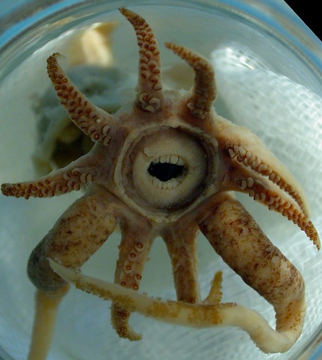 Science girl tweet media