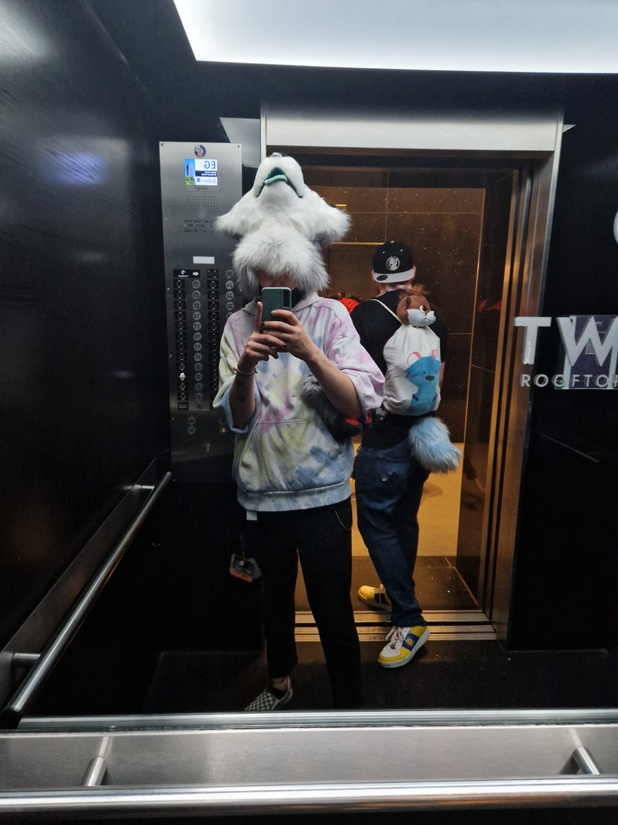 мıпт 🌱 tweet media