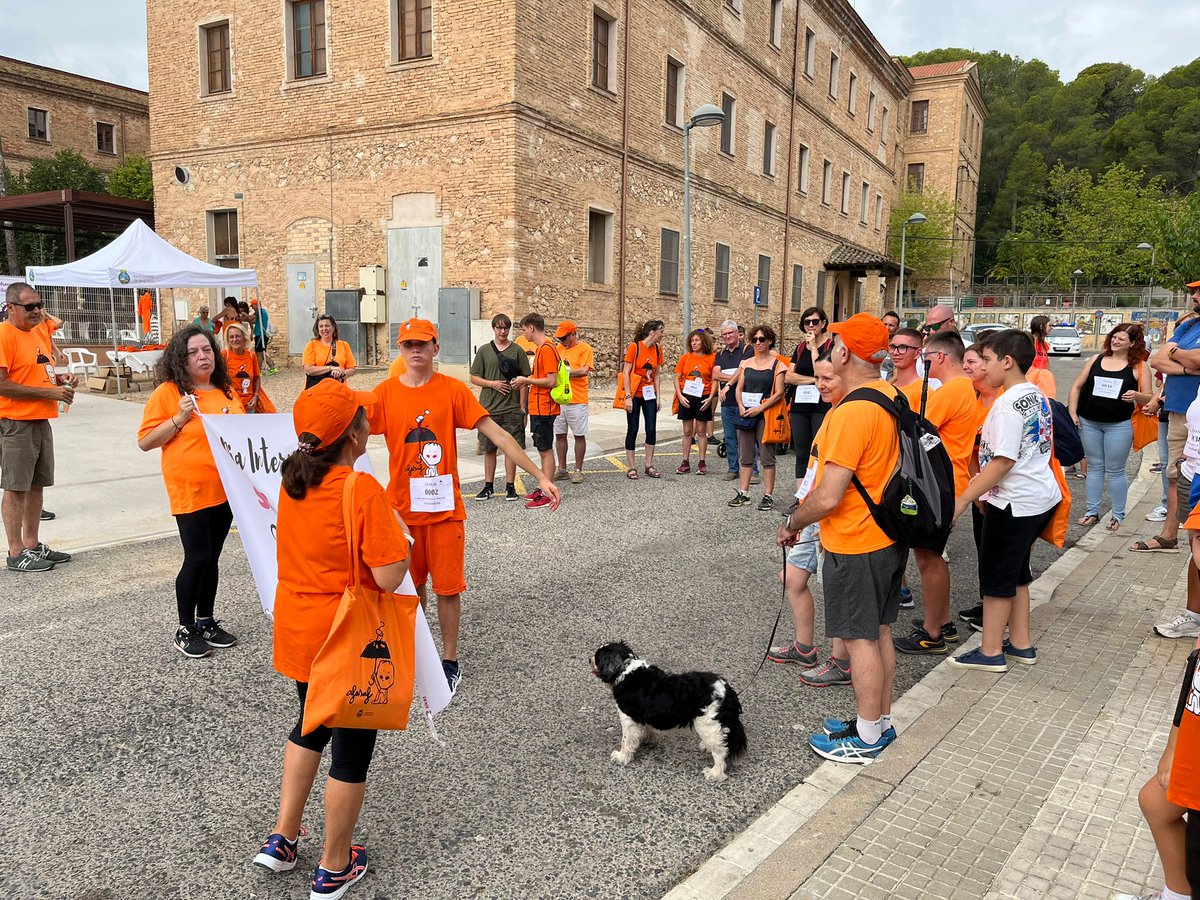 afasaf_fasd's tweet photo. Encuentro en Roquetes de personas con #saf/ #teaf, sus familias y  colaboradorxs en el Día Internacional del SAF/TEAF. 9 del 9 

Con la colaboración de @AjRoquetes
y L'Institut Català de l'Acolliment i de l'Adopció (ICAA) @gencat
#saf #teaf #afasaf #fasd #diainternacionaldelsaf https://t.co/LQh0KRJz0l