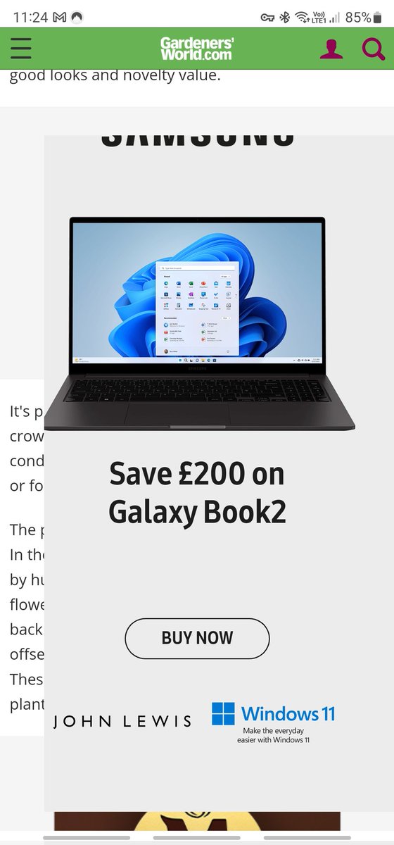 Flic_HM's tweet photo. @GWandShows I think maybe the advertising on your website has grown out of control like a weed... can't even see the content anymore 🫤 https://t.co/jj0U2CdrUJ