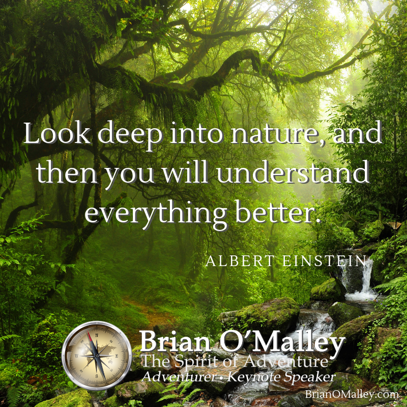 3PrinciplesLife's tweet image. Look deep into nature, and then you will understand everything better. ~Albert Einstein
BrianOMalley.com
#inspiration
#adventure