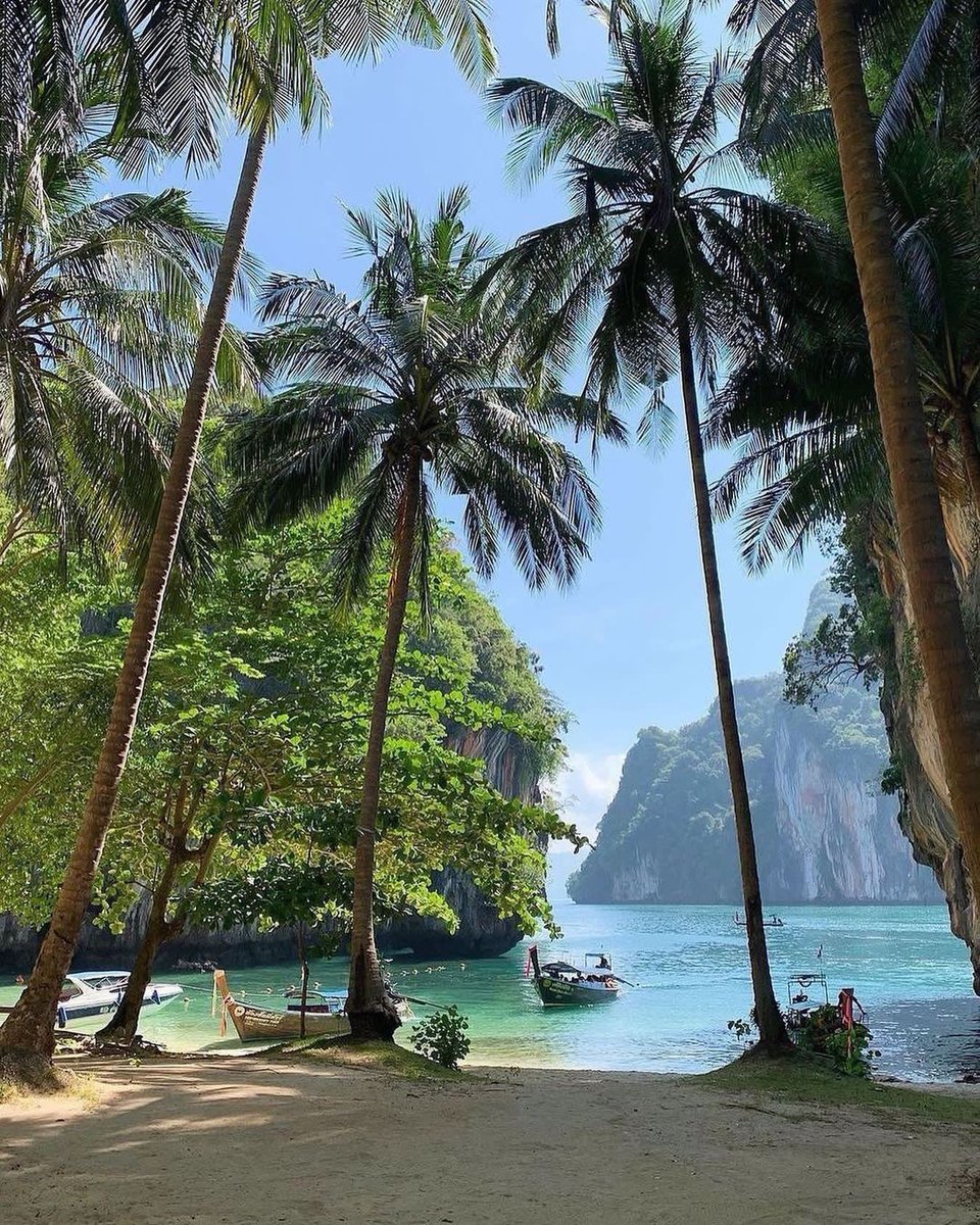 views_magical's tweet photo. Thailand https://t.co/PztUL1iN11