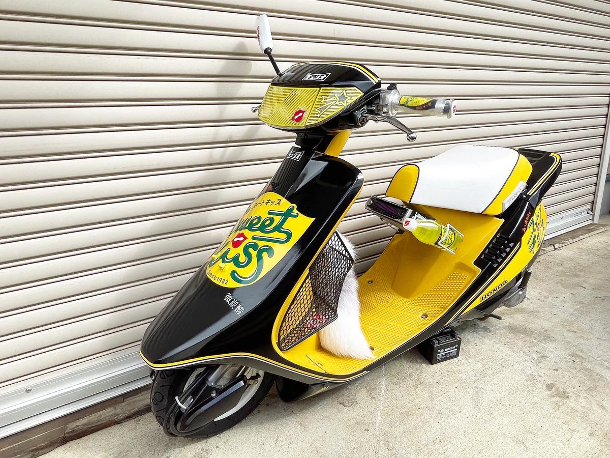 は‼️ tweet media