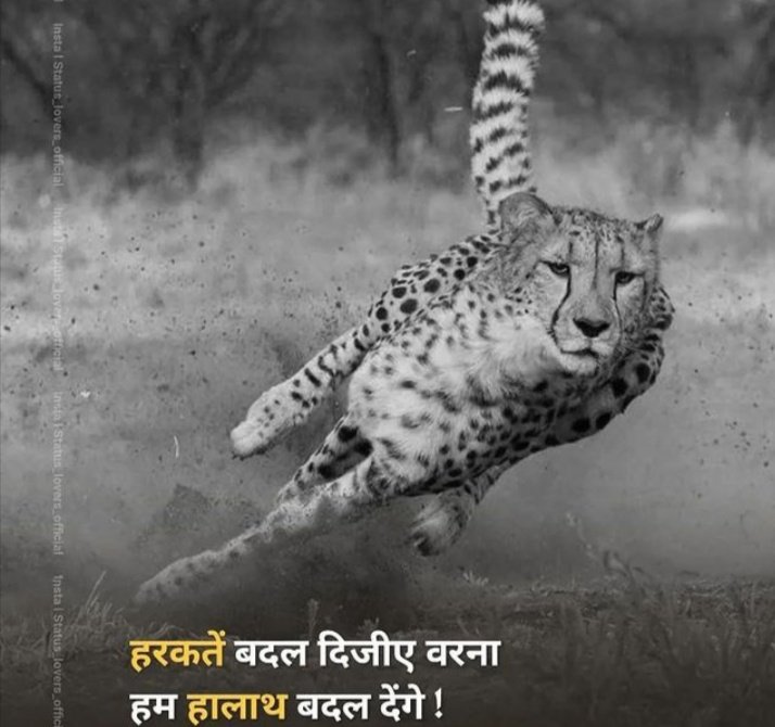 Nitin_Khuthia's tweet image. #modifans