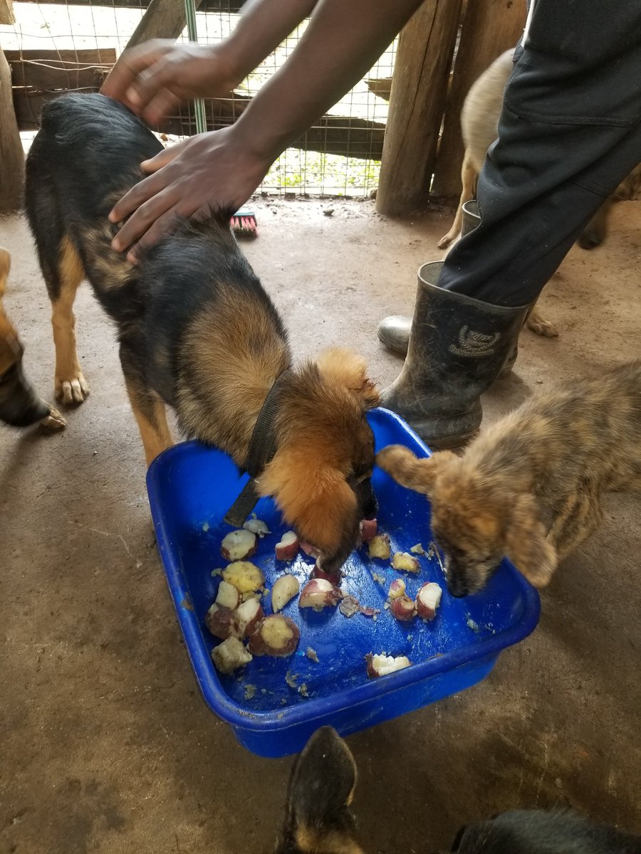 Animalwelfareo's tweet photo. https://t.co/9hA3EtvLrG