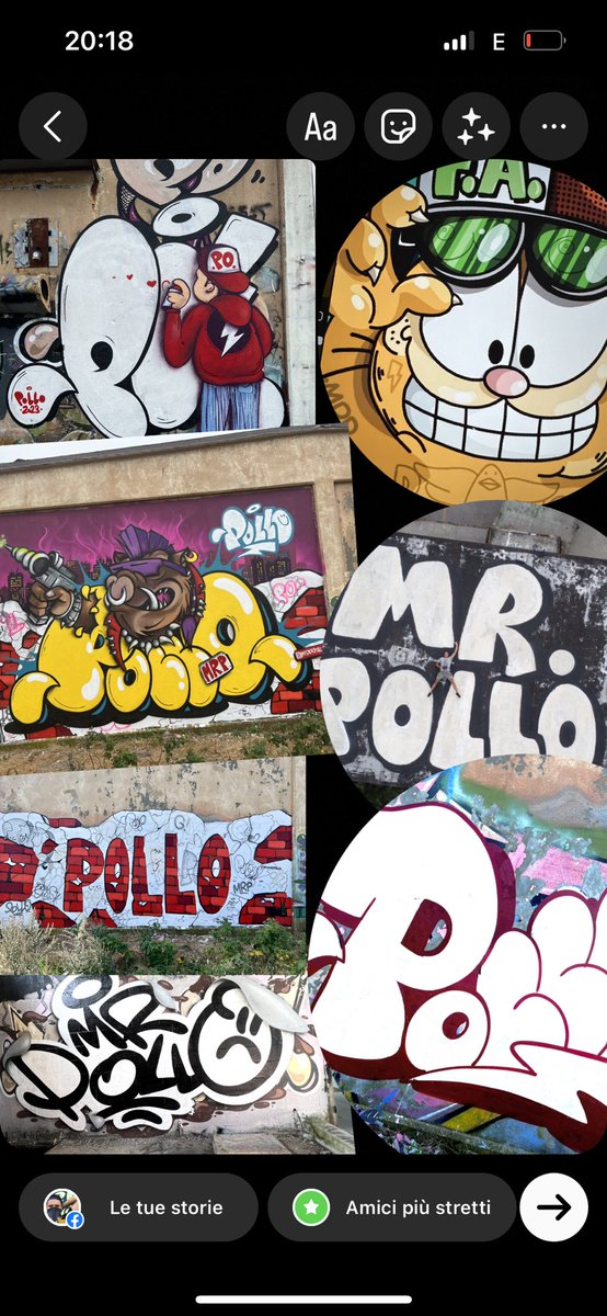 Mister Pollo tweet media