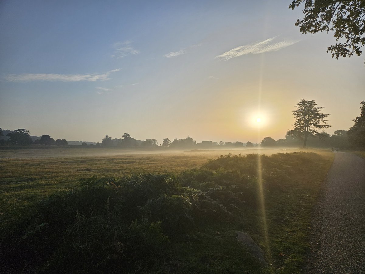 Max Hawksworth tweet media