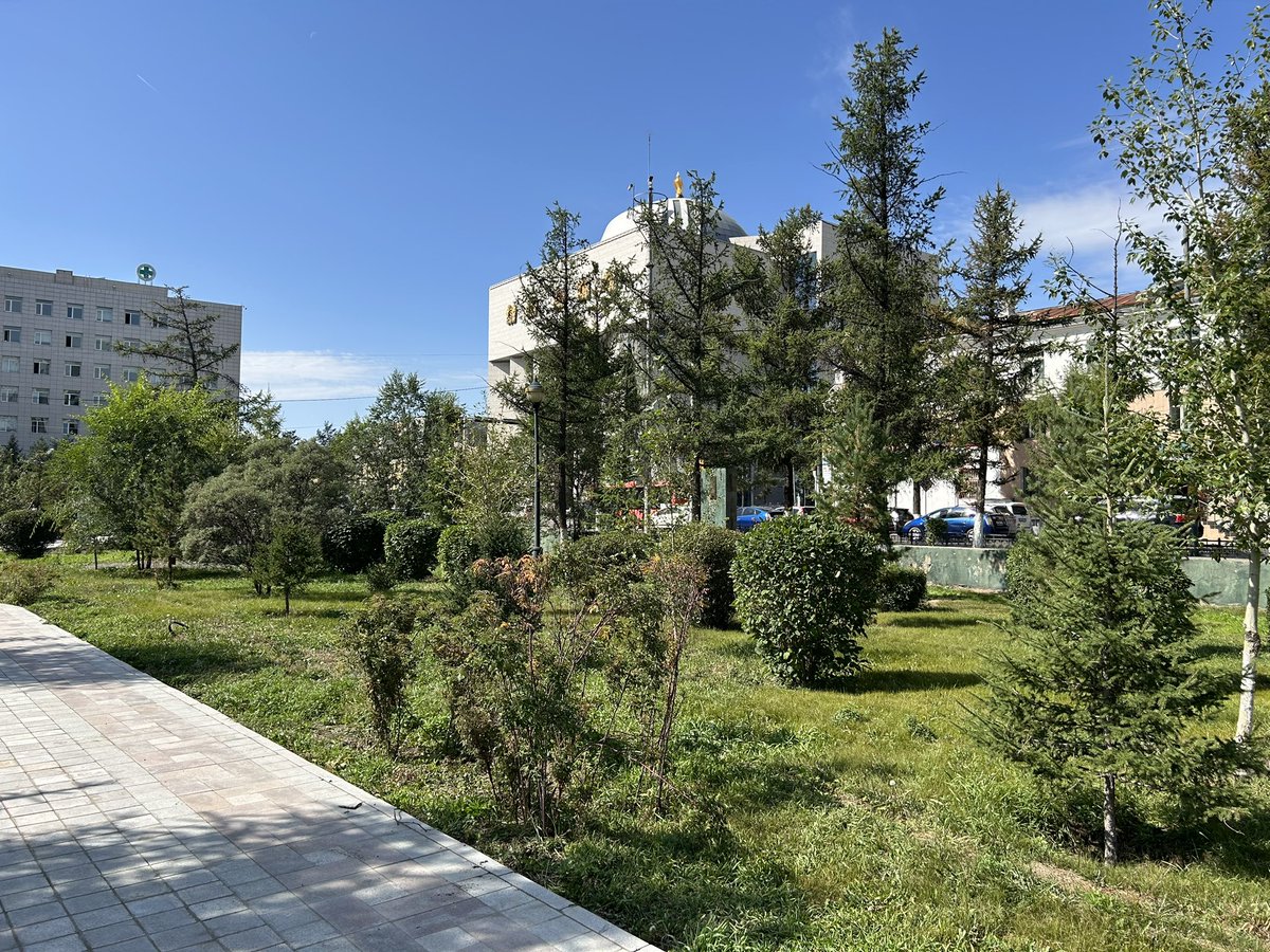 Сайн мэдээ! Төрийн ордны хойд талын цэцэрлэгт хүрээлэн хашаагаа буулгаж, 🌳☘️🌺 үүдээ нээж байна. Мод, бут харагдаад сайхан байна. Шийдвэр гаргасан хүмүүст талархал илэрхийлье. Ер нь одоо элдэв хашаа манай хотод хэрэггүй ээ! Оронд нь сайхан мод, бутан хашлага хийцгээе! ✅🌳🌻