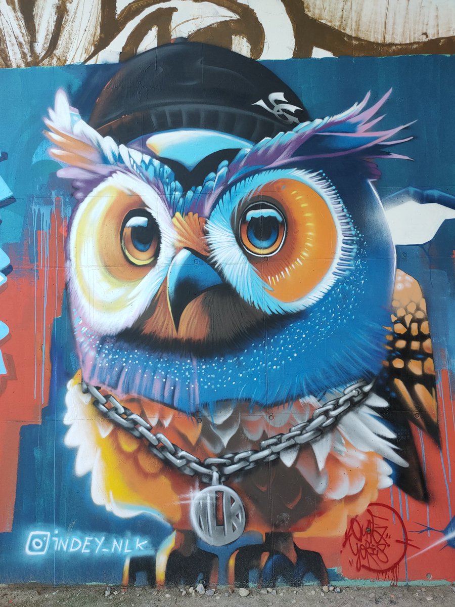 argone69's tweet photo. #saturdayartfever IndeyNLK à Soyons, Ardèche #streetart #muralsdaily https://t.co/KAIHy9IRqt