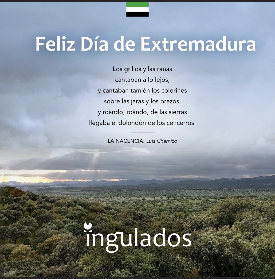 Ingulados (@ingulados) on Twitter photo 