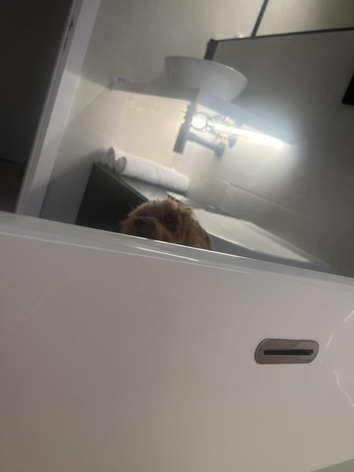 He hates it when I&rsquo;m in the bath https://t.co/Hs9E2kQ9ZQ