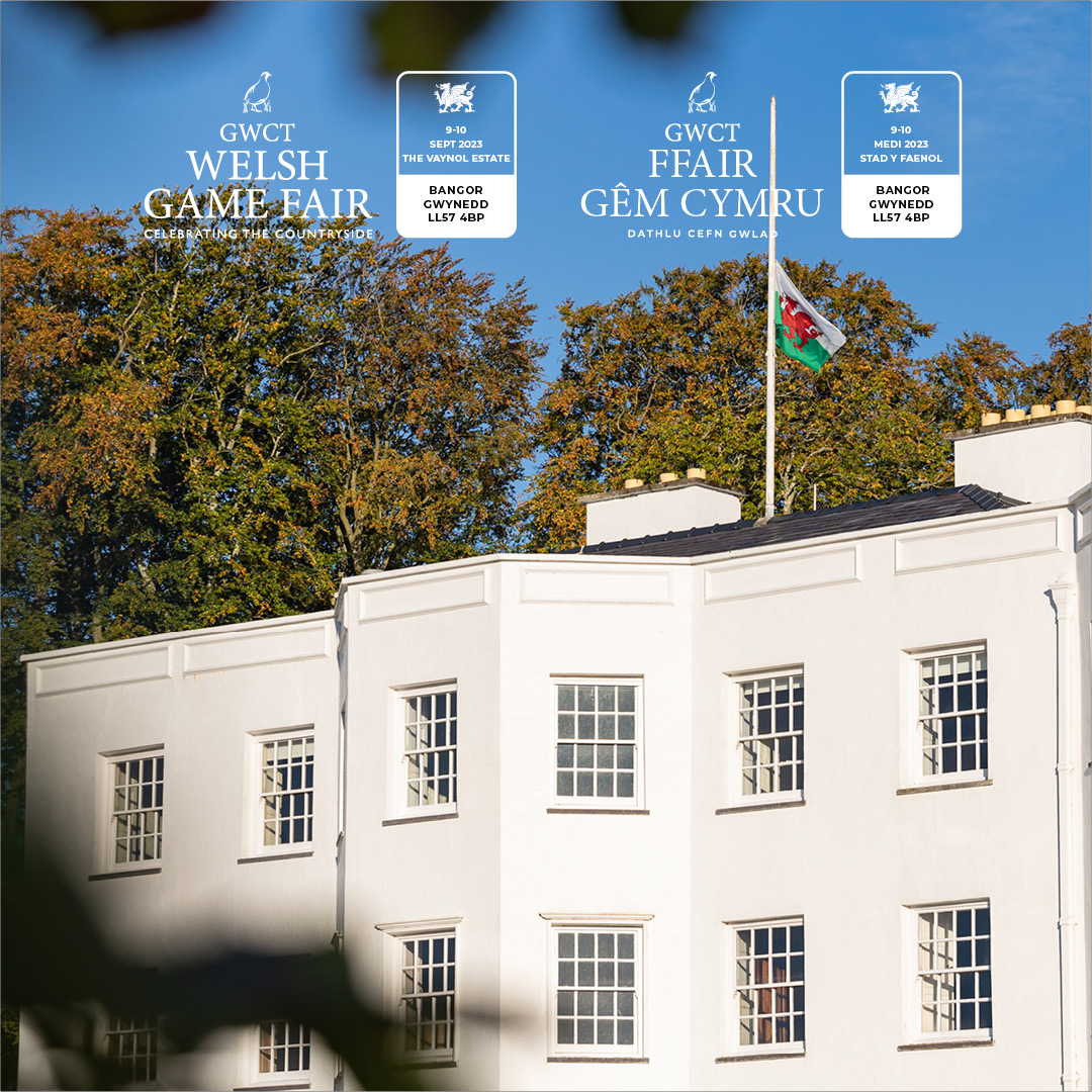 Welcome to the second annual GWCT Welsh Game Fair! What have you got planned for today? Don’t forget to download our digital show guide via the Sitka app.
