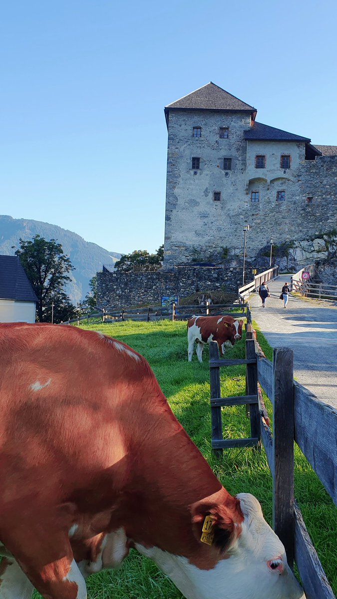 Ein Traumtag für einen Ausflug auf die Burg #Kaprun zum Castle Camp #cczk23