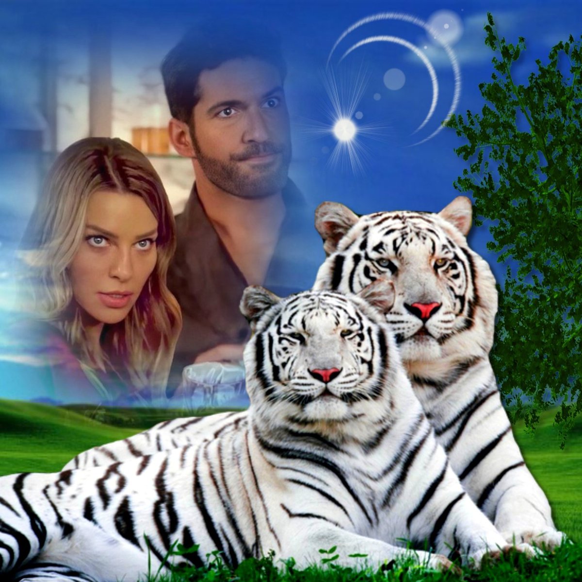 Kay Blackwell tweet media