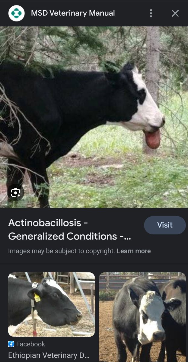 Dr. Desmond Tutu tweet media