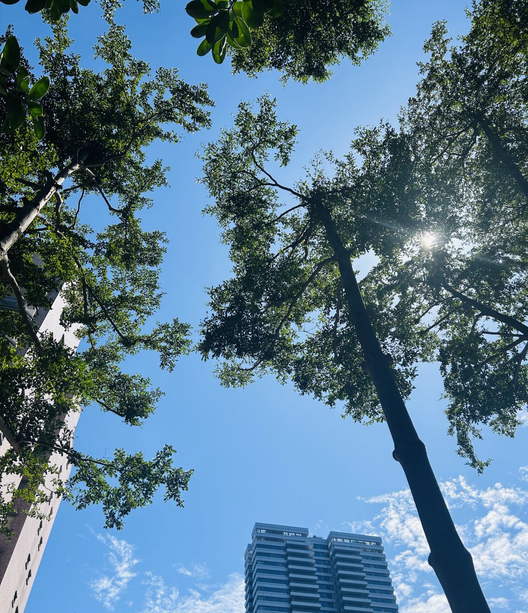 用力抓住卻什麼都抓不住的無力感襲來