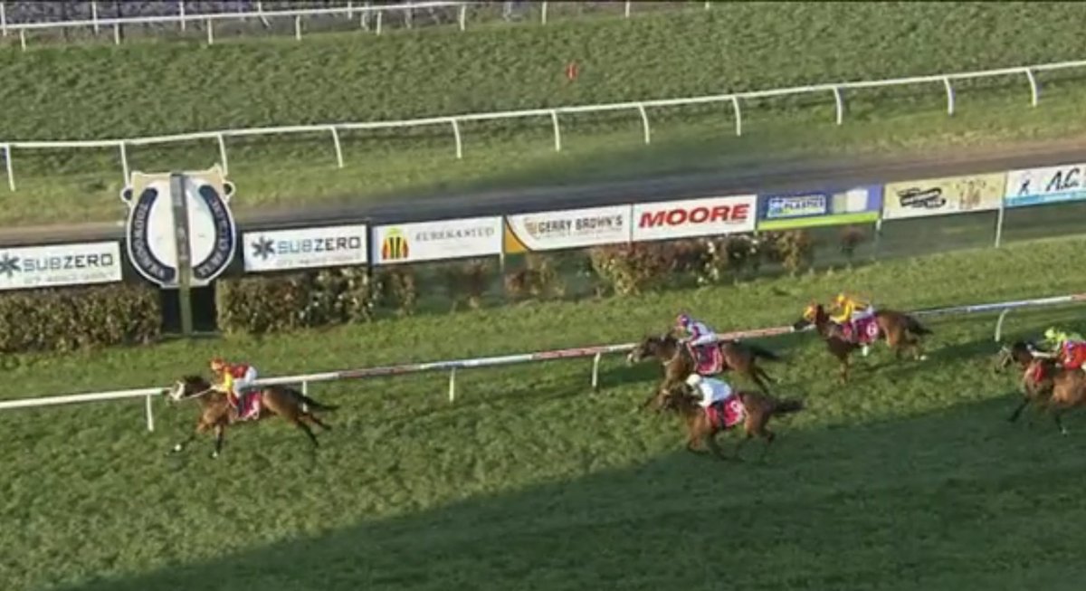 team_she11's tweet photo. Stable apprentice @Oliviawebb016 back after licensing transfer! 💪🏼 kicks home the nice horse for Lindsay Hatch that’s now 5 from 5 🤩 https://t.co/G59xvFwyWm