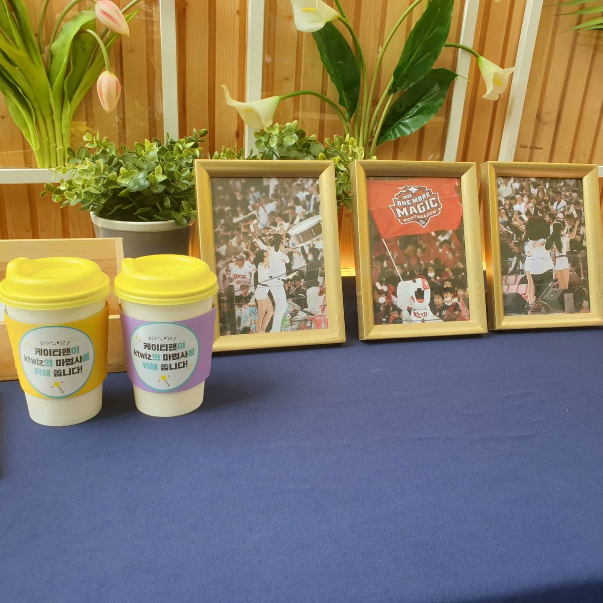 dongsaroma_com's tweet photo. #ktwiz #케이티위즈 #kbo #커피차 #서포트 #야구팬 #야빠 https://t.co/idEN8AmBHC