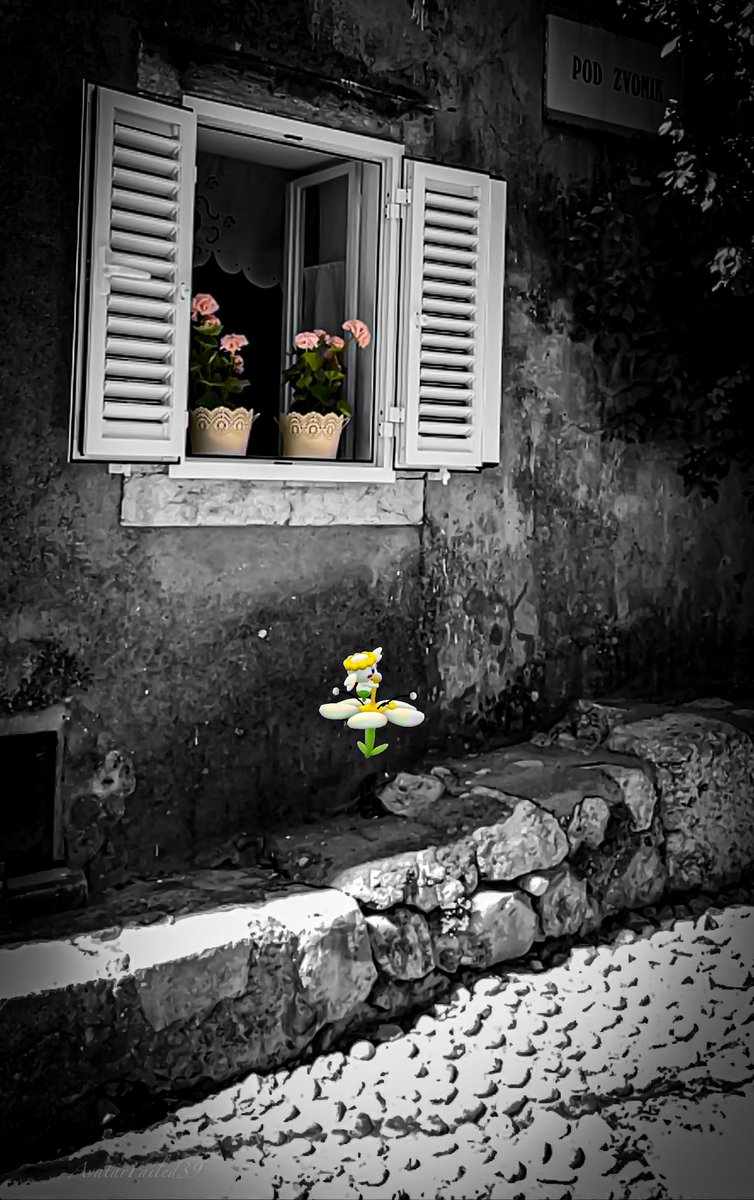AvatarFailed39's tweet photo. Don't forget your daily buddy heart! #APaldeanAdventure #GOsnapshot #NianticAR #CuteAR #PokemonGO #Out4AWhile #MasterpieceResearchTask #PokemonGOApp @PokemonGOdeu @PokemonGoApp https://t.co/eGR4A8m0QM