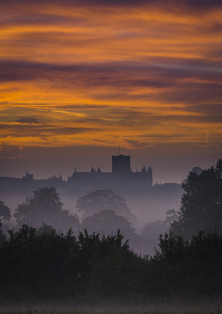 StAlbansCath's tweet image. Good morning St Albans 😎

📷 Ricky Barnett Photography