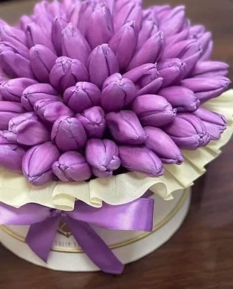 صباح معطر بذكر الله
ليس وحيدا: من كان له أحباب في الله 
وليس مهموما: من كان لسانه رطبا بذكر الله 
وليس حزينا: من كان قلبه مطمئنا بما عند الله 
وليس قاسيا قلبه : من بكت عيناه من الذنوب خوفا من الله
كن لله ومع الله ستجد كل ما تتمناه 
رضيِ الَلَهّ عنكم وأرضاکم وکفاكم وهداكم وعافاكم