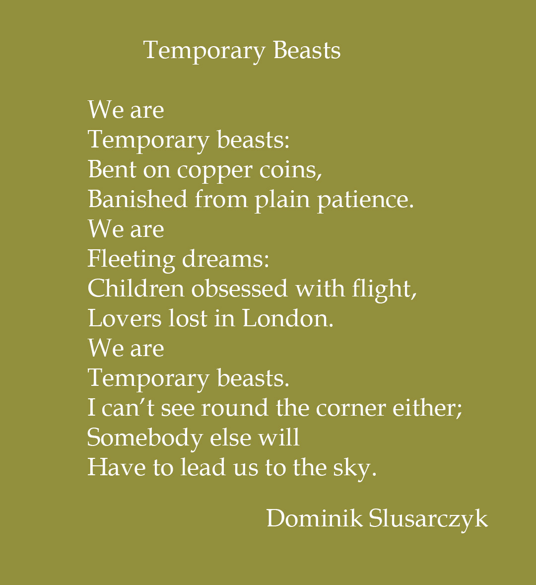 thedreamingseal's tweet photo. Temporary Beasts

#poetry #poem https://t.co/3v2rf8KGqf
