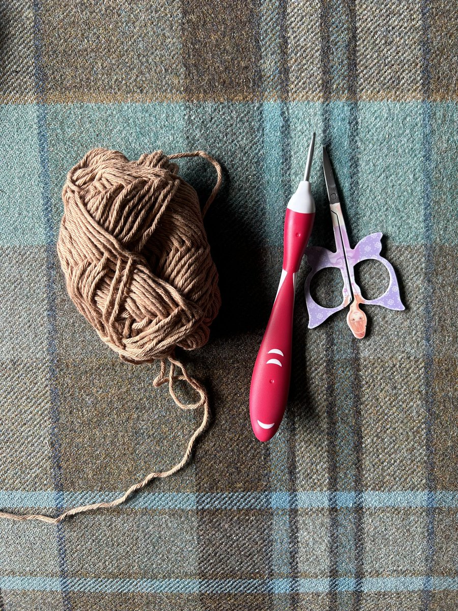 Amanda Pickard 🙋🏻♀️ #weeponder 🧐 tweet media