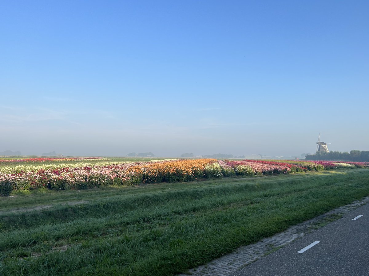 Voor dag en dauw opstaan 🚴🏼‍♀️🧡✨👌🏼🌻 #texeltourtje