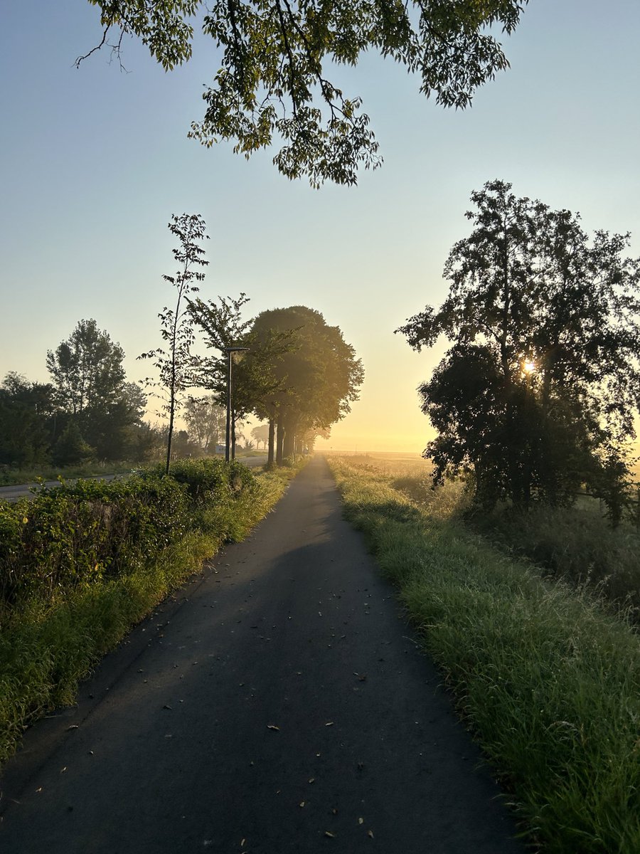 Hester Ozinga tweet media