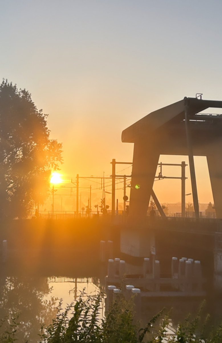 Hester Ozinga tweet media