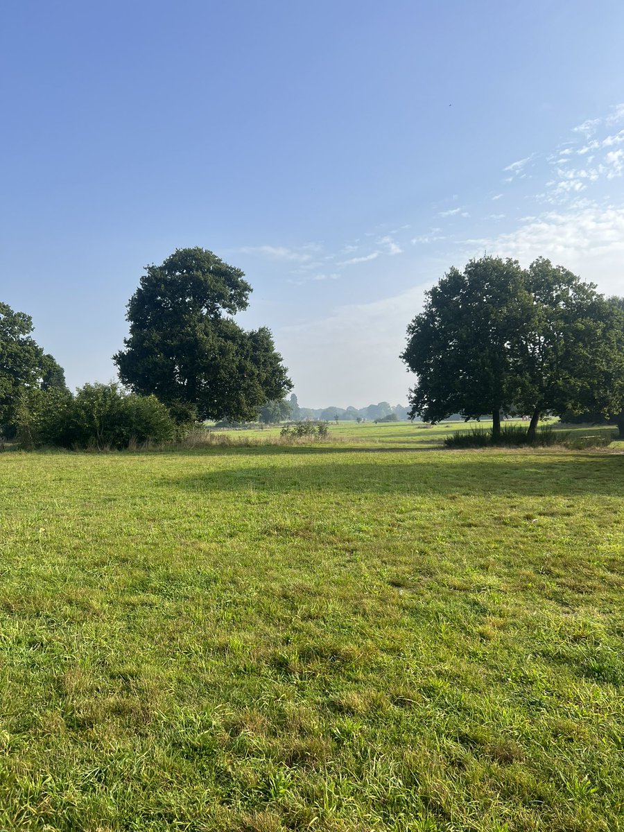 So good to finally be back <a href="/cattonparkrun/">Catton parkrun</a> 😊
