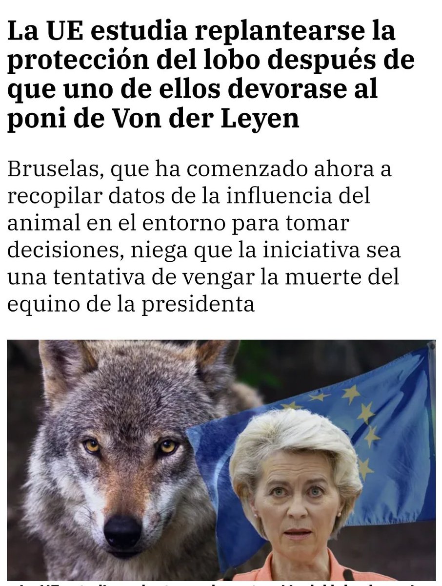 Gente ciega: "Los ricos se preocupan por el mundo"
Los ricos:
